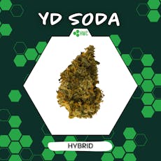 YD Soda - 14g
