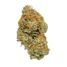 Top Tier - Yeti 49