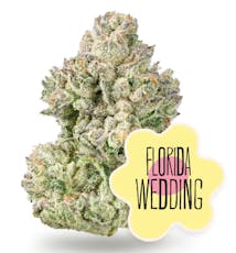 Florida Wedding | 3.5g