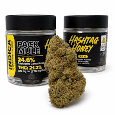 Hashtag Honey | Pack Mule | Indica | 3.5g