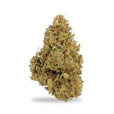 Williams Wonder - Pineapple