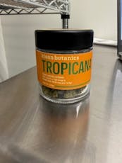 Bison | Tropicana | 3.5g Flower | Indica-hybrid