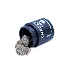 Headband x Triangle Kush