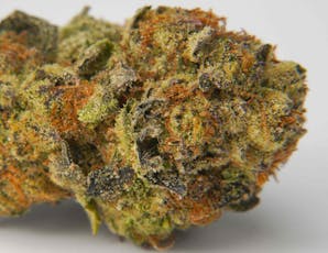 Garlic Sauce | Flower (14g)