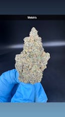 Welch's - Flower - Sativa