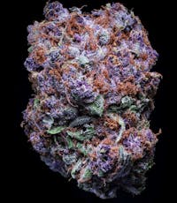 Blueberry Tide by Falcanna