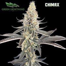 Green Lightning | Chimax | 3.5g