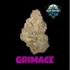 Blue Harvest | Grimace (I-H) Flower | 3.5g