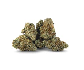 Dealr Hannibal Nectar