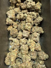 Ananda Farms Neon Cube