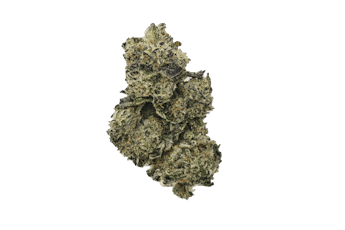 Blueberry Sugar Flower by Vanilla Sunshine
