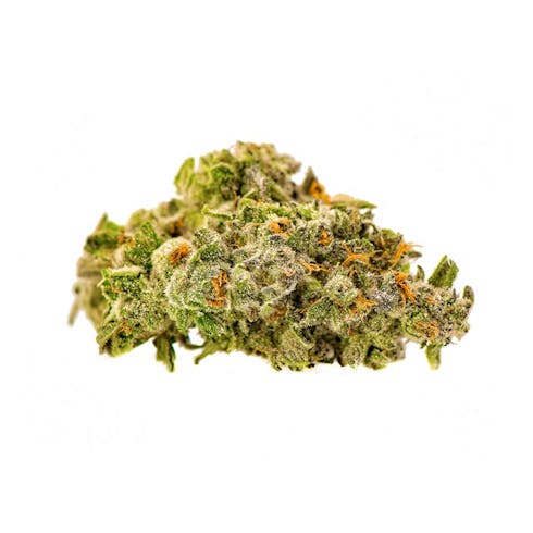 GS CBD