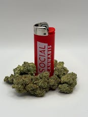 Gold Shelf - Original Glue (H)