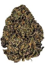 Green | Gelato Runtz 28g