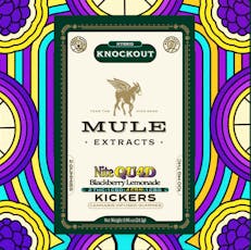 Blackberry Lemonade (Nite Quad) | 100mg 2-Piece | 2:1:4:1 THC:CBD:CBN:CBG Kicker