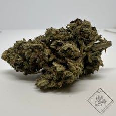 Sour Pineapple - East Fork Cultivars (C)