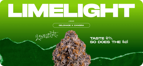 Wizard Trees 3.5g Flower - Limelight
