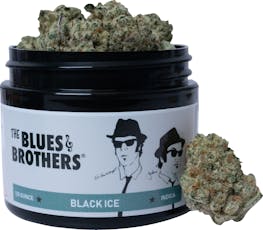 The Blues Brothers | Black Ice | 3.5G