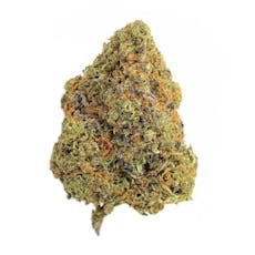 STIIIZY | White Zerbert 3.5g