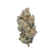 Mid Tier - Peek-a-Boo Peepers