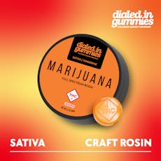 DIALED IN - GUMMIES ROSIN - 300MG - 10PK - TANGERINE - SATIVA