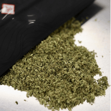 VIBE - SHAKE - 14G - KING LOUIE XIII - INDICA