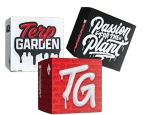 Orange Mintz | Live Rosin