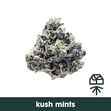 Kush Mints Popcorn 14g
