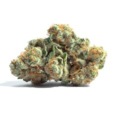 Buds- Queso H
