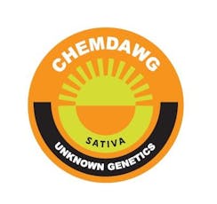 Equinox Live Resin Cartridge Chemdawg 1g