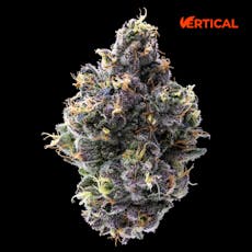 VERTICAL - GELATO 33 3.5G HYBRID