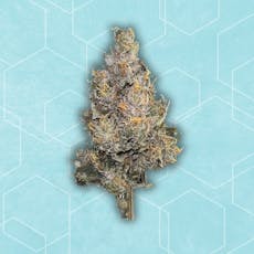 3.5g Garlic Breath | TAX INCLUDED