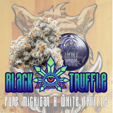 Black Truffle | 3.5g Tin