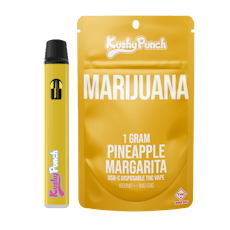 Pineapple Margarita Disposable Vape (1g)