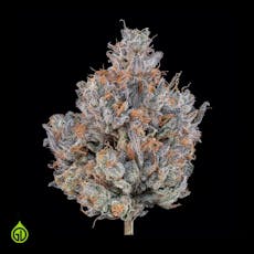 Green Dot - Pre-Packed - Thunderdome (H) 7g