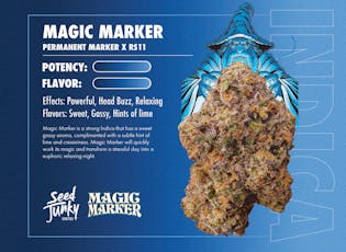 Seed Junky | 3.5g Flower Jar | Magic Marker