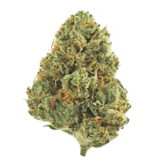 HYH Society | SFV OG