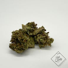 Jelly Delight - East Fork Cultivars (2:1) (C)