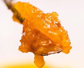 Aqua Live Sugar | 1g