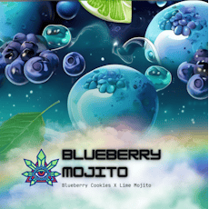 Blueberry Mojito | 1g Pre-Roll