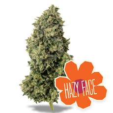 (DC) Hazy Face 14g