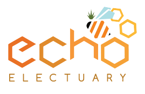 Dulce de Papya-Echo-1G Live Hash Rosin