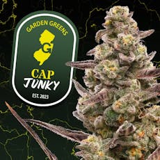 Garden Greens | Cap Junky | 2 x 0.5g PR