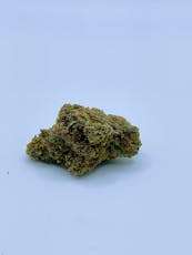 Rare Michigan Genetics Hunnymoon Buds