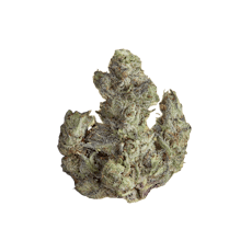 GOLDKINE | ICE CREAM MAN | INDICA | DELI-STYLE FLOWER