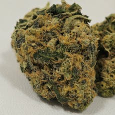 Specimen X | In House | Buds | 3.5g