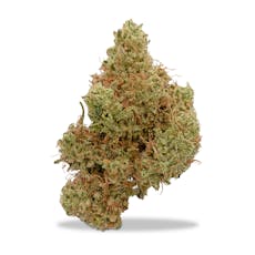 Deep Creek Gardens - Thunderbird
