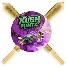 Perfect Ratio - 1g Pre-Roll / 2 Pack - Kush Mintz