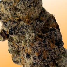 Sugar Cane (Growing Up) $8/g