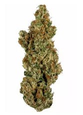 RYTHM | Animal Face 3.5g